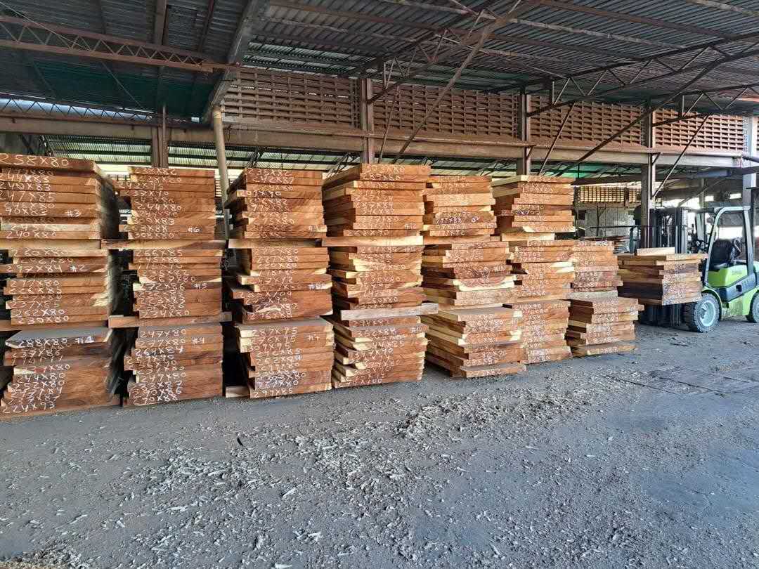Samanea saman, Rain Tree 제재목 70T × 750W up × 2000L  up